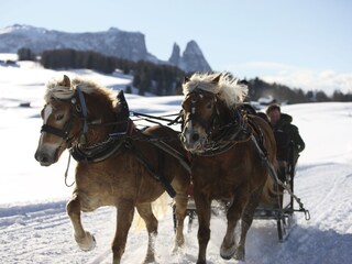 Appartamento per vacanze Sexten Ambiente 13