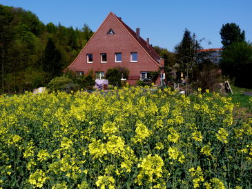 Holiday apartment against Globalwarming