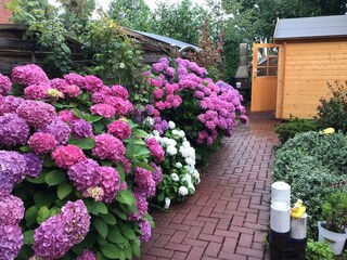 Holiday house Campen Outdoor Recording 5