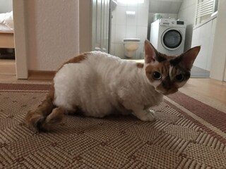 Holiday house Campen Features 19