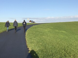 Holiday house Campen Environment 30