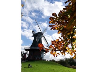 Holiday house Campen Environment 33