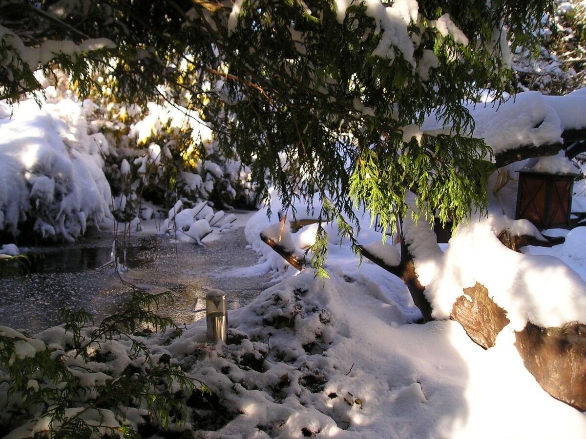 Terrassenteich im Winter