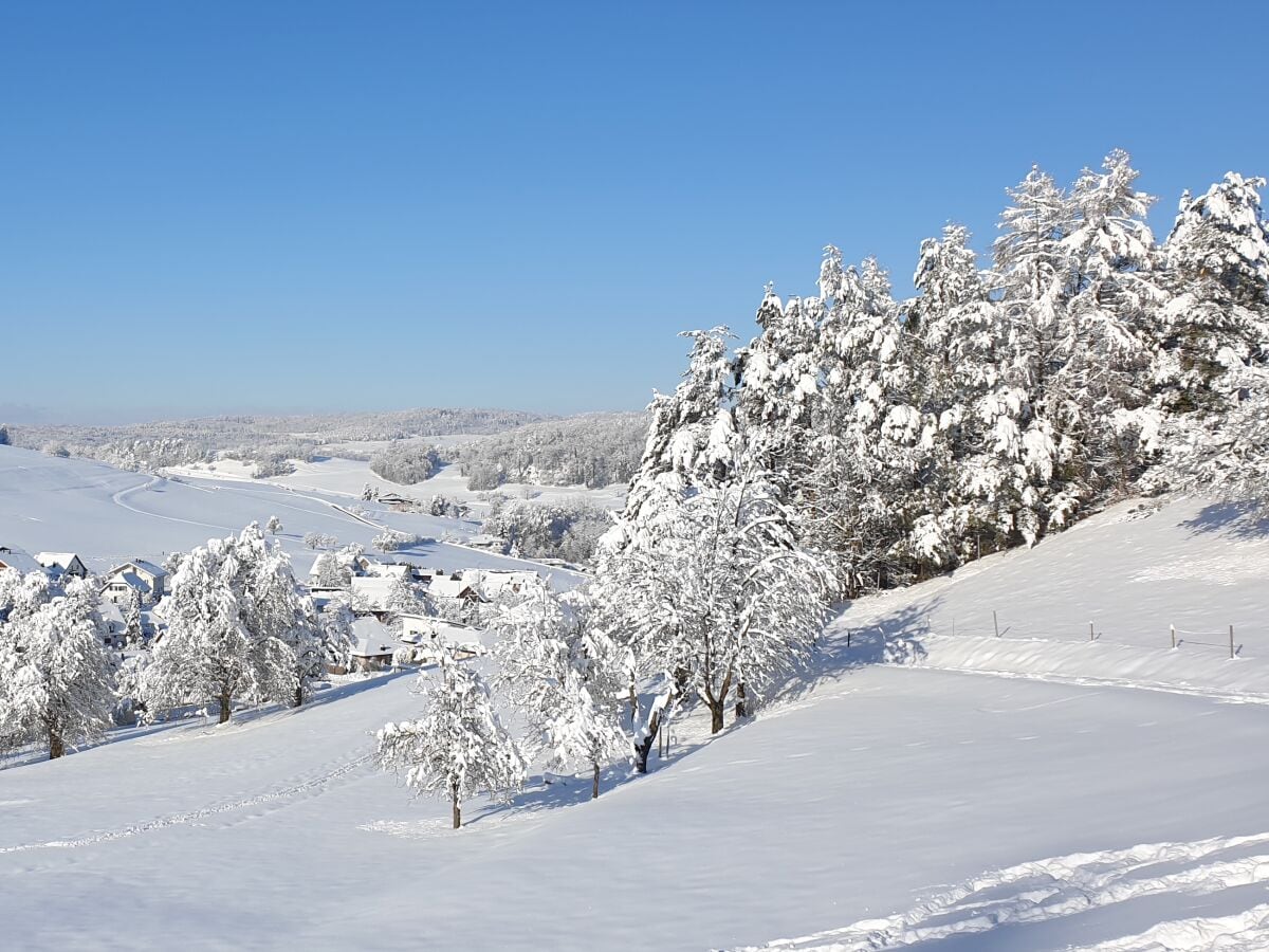 Siglistorf im Winter