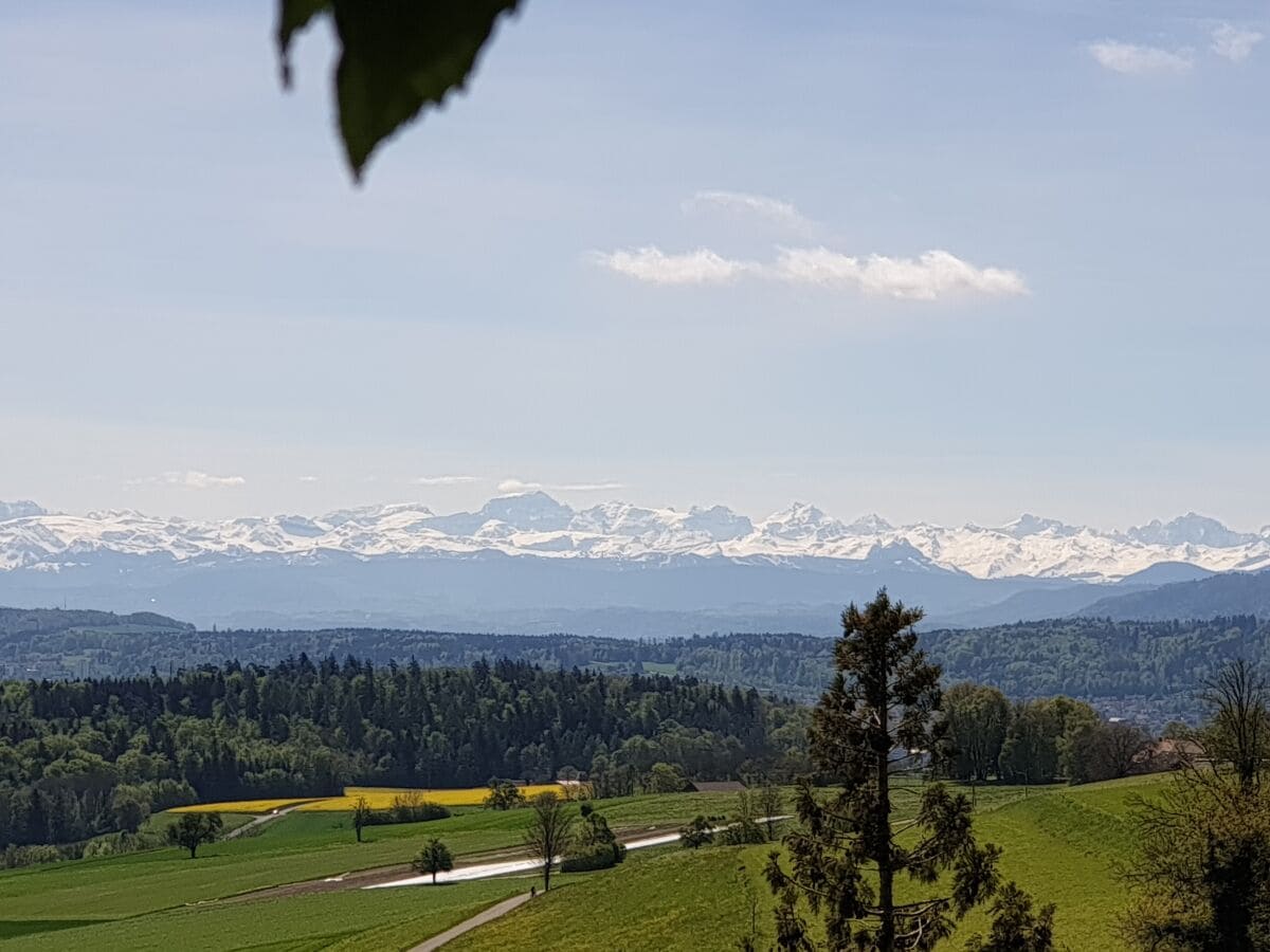 Alpenblick vom Regensberg