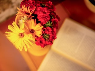 Ferienhaus Saint-Julien-de-Peyrolas Ausstattung 18