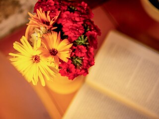 Holiday house Saint-Julien-de-Peyrolas Features 18