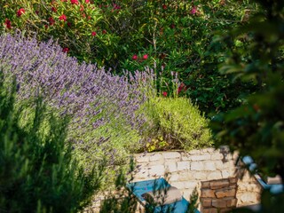 Holiday house Saint-Julien-de-Peyrolas Outdoor Recording 10