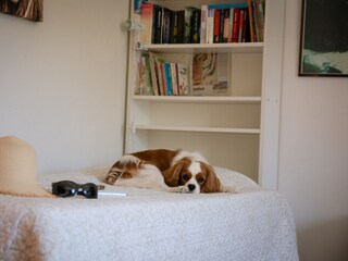 Casa per le vacanze Saint-Julien-de-Peyrolas Registrazione all'aperto 5