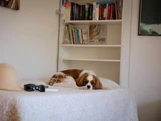 Ferienhaus Saint-Julien-de-Peyrolas Außenaufnahme 5