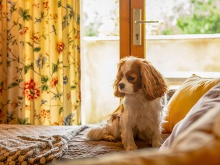 Holiday house Saint-Julien-de-Peyrolas Features 21