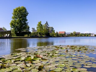 Chalet Wervershoof Environment 13