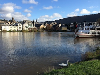 Blick in Richtung Moselbrücke