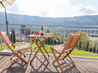 Terrasse mit Blick über die Dächer zur Mosel