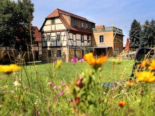 Ferienhaus mit eigener Liegewiese