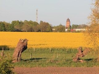 Blick aus dem Küchenfenster