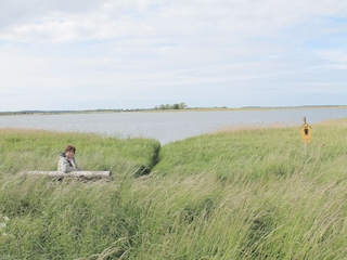 Der Bodden nah der Ferienresidenz