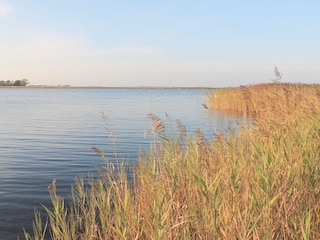 Abendstimmung am Bodden