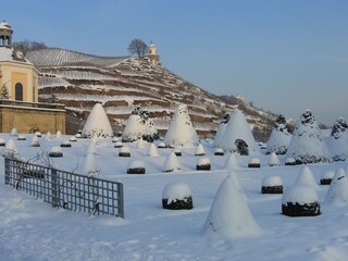 Appartamento per vacanze Radebeul Ambiente 20