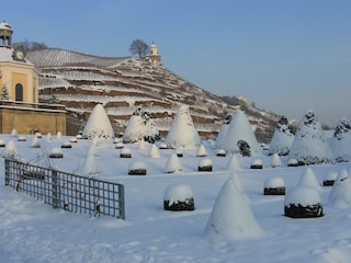 Belvedere von Schloß Wackerbarth und Jackobstein