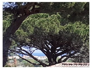 Meerblick von der Terrasse