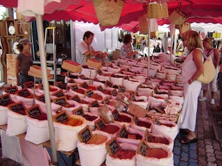 Maison de vacances Gassin Environnement 33