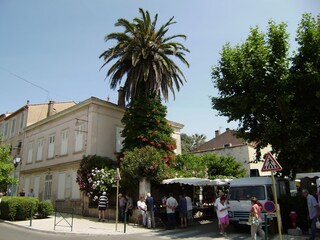 Maison de vacances Gassin Environnement 36