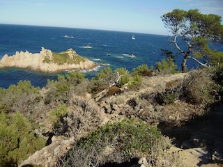 Maison de vacances Gassin Environnement 36