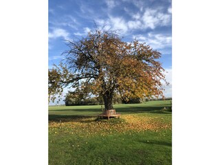 Goldene Herbststimmung Mursewiek20