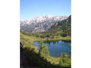 Vakantieappartement Tauplitz Omgeving 15