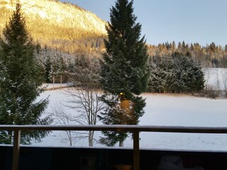 Vakantieappartement Tauplitz Omgeving 20