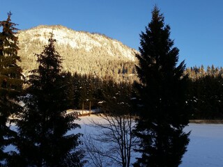 Vakantieappartement Tauplitz Omgeving 21