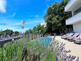 Casa per le vacanze Baška Voda Registrazione all'aperto 4