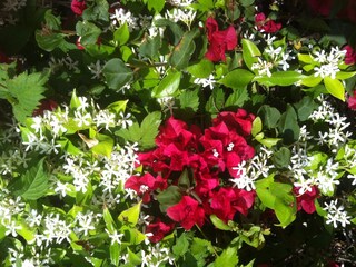 Casa per le vacanze Moraira Registrazione all'aperto 19