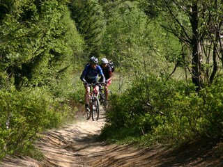 Holiday house Olsberg Environment 36