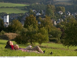 Holiday house Olsberg Environment 37