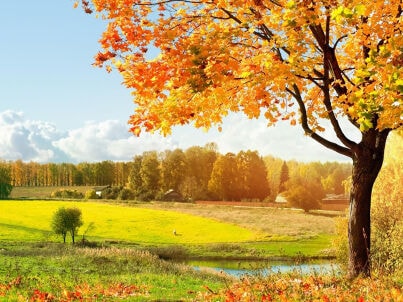 Familie van der Pouw Kraan