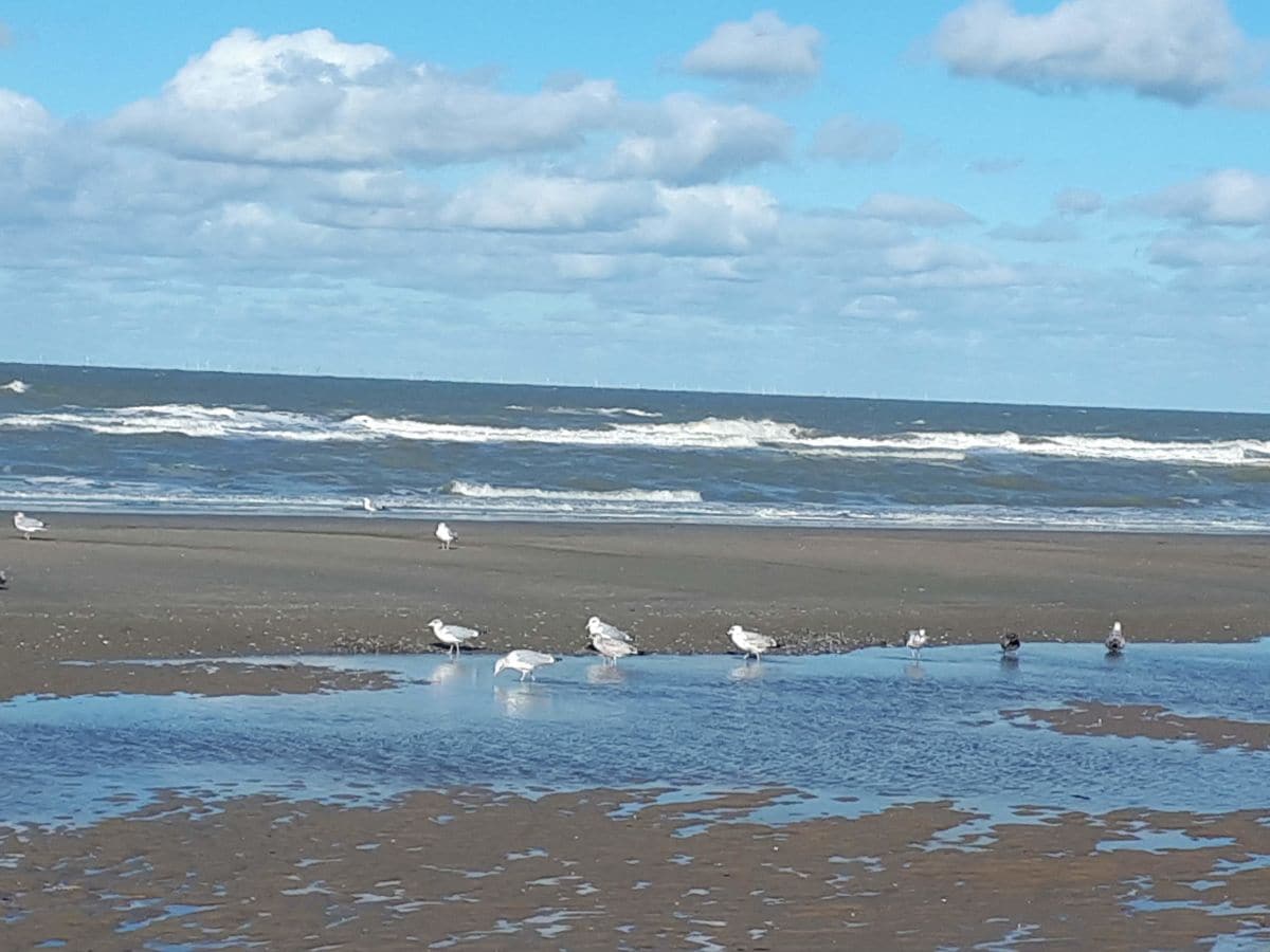 Der Strand  direkt vor der Haustür