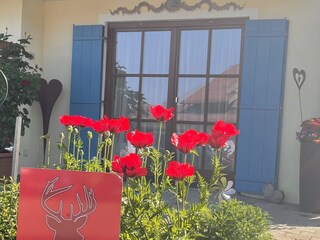 Appartamento per vacanze Balderschwang Registrazione all'aperto 3