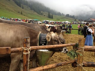 Appartamento per vacanze Balderschwang Ambiente 28