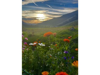 Appartamento per vacanze Balderschwang Registrazione all'aperto 7