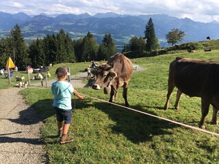 Appartamento per vacanze Balderschwang Ambiente 26