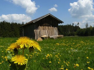 Appartamento per vacanze Balderschwang Ambiente 22