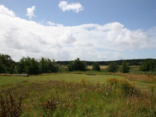 Villa De Koog Ambiente 22