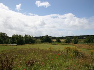 Villa De Koog Omgeving 24