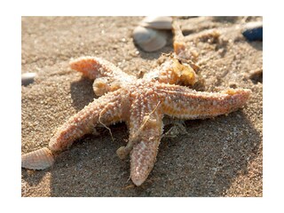 Appartamento per vacanze Egmond aan Zee Registrazione all'aperto 6