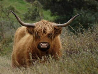 Appartamento per vacanze Egmond aan Zee Ambiente 27