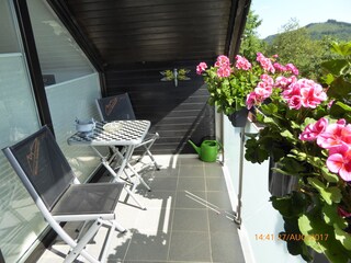 Holiday apartment Meschede Outdoor Recording 2