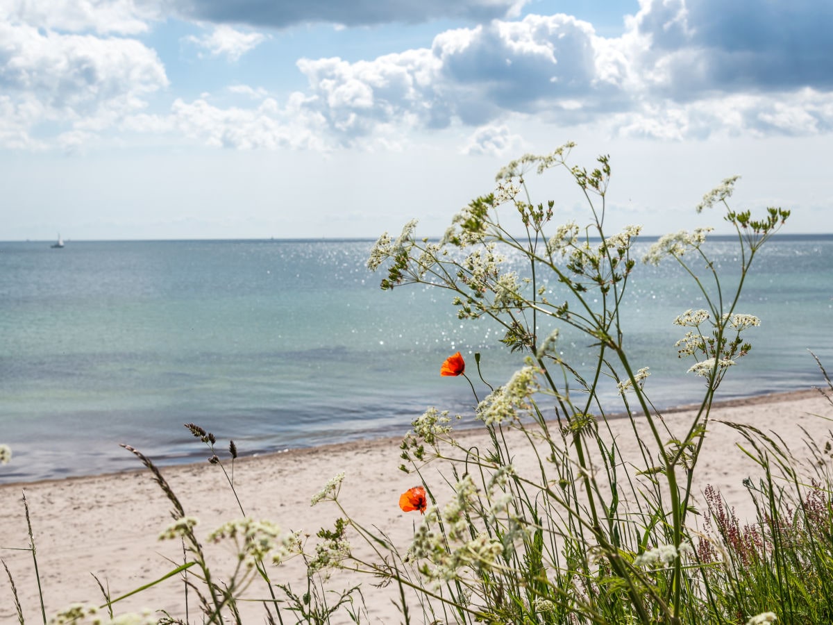 Frühling an der Ostsee