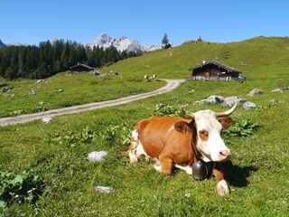 Auf der Kallbrunnalm
